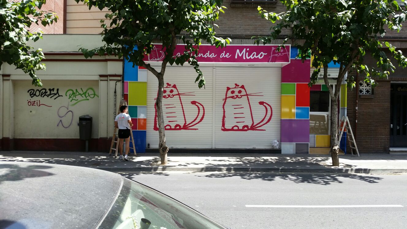 pintura decorativa en murcia